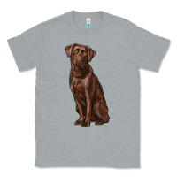 Heather Grey labrador retriever Classic Tee - RanaPortraitStore