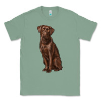 Sage labrador retriever Classic Tee - RanaPortraitStore