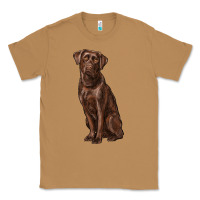 Toasted Coconut labrador retriever Classic Tee - RanaPortraitStore