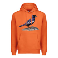 Carrot Lark Bunting Colorado State Bird Premium Hoodie - RanaPortraitStore