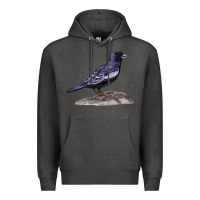 Charcoal Heather Lark Bunting Colorado State Bird Premium Hoodie - RanaPortraitStore