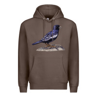 Coffee Lark Bunting Colorado State Bird Premium Hoodie - RanaPortraitStore