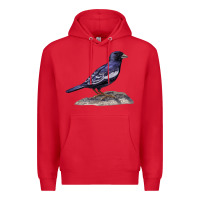 Red Lark Bunting Colorado State Bird Premium Hoodie - RanaPortraitStore