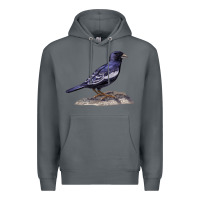 Rock Lark Bunting Colorado State Bird Premium Hoodie - RanaPortraitStore