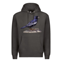 Smoke Lark Bunting Colorado State Bird Premium Hoodie - RanaPortraitStore