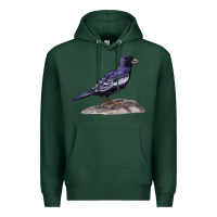 Sports Green Lark Bunting Colorado State Bird Premium Hoodie - RanaPortraitStore