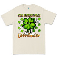 Shenanigans Coordinator St Patrick S Day Artiststas Premium Tee | Teevron