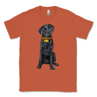 Copper labrador retriever with overflow Classic Tee - texasbilliewilder
