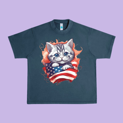 Urban Heavy Tee cat6