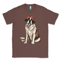 Chestnut st bernard with bandanna Classic Tee - texasbilliewilder