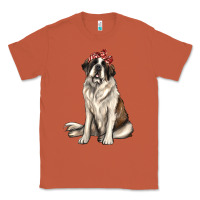 Copper st bernard with bandanna Classic Tee - texasbilliewilder