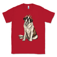 Red st bernard with bandanna Classic Tee - texasbilliewilder