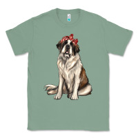 Sage st bernard with bandanna Classic Tee - texasbilliewilder
