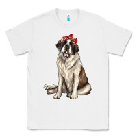 White st bernard with bandanna Classic Tee - texasbilliewilder