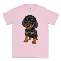 Bubblegum Pink dachshund puppy Classic Tee - RanaPortraitStore