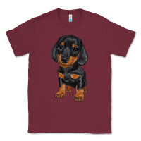 Burgundy dachshund puppy Classic Tee - RanaPortraitStore
