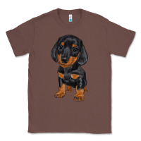 Chestnut dachshund puppy Classic Tee - RanaPortraitStore