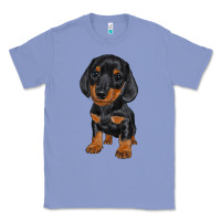Colony Blue dachshund puppy Classic Tee - RanaPortraitStore
