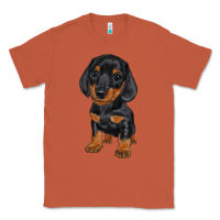 Copper dachshund puppy Classic Tee - RanaPortraitStore