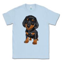 Dusty Blue dachshund puppy Classic Tee - RanaPortraitStore
