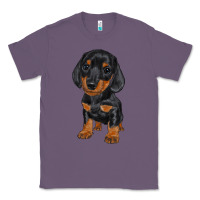 Lavender dachshund puppy Classic Tee - RanaPortraitStore