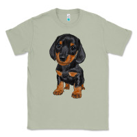 Matcha dachshund puppy Classic Tee - RanaPortraitStore