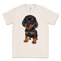 Natural dachshund puppy Classic Tee - RanaPortraitStore