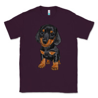 Plum dachshund puppy Classic Tee - RanaPortraitStore