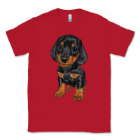Red dachshund puppy Classic Tee - RanaPortraitStore