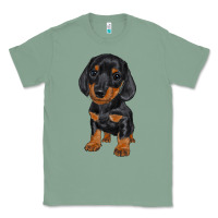 Sage dachshund puppy Classic Tee - RanaPortraitStore
