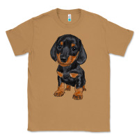 Toasted Coconut dachshund puppy Classic Tee - RanaPortraitStore