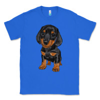 True Royal dachshund puppy Classic Tee - RanaPortraitStore