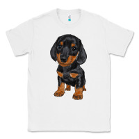 White dachshund puppy Classic Tee - RanaPortraitStore