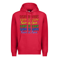 Cardinal love is love lgbtq Premium Hoodie - MaliasSmallBusiness