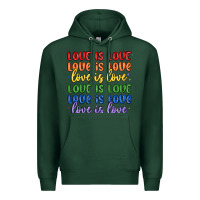 Sports Green love is love lgbtq Premium Hoodie - MaliasSmallBusiness
