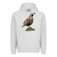 Dove Grey California Quail Bird Premium Hoodie - RanaPortraitStore