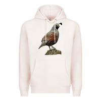 Pale Pink California Quail Bird Premium Hoodie - RanaPortraitStore