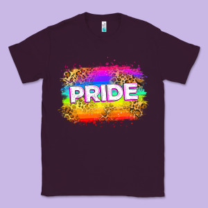 Pride Flag Classic Tee Designed By Zillion Design Studio