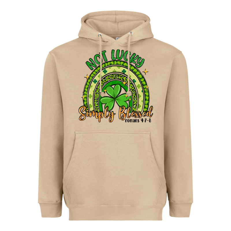 Not Lucky Simply Blessed Rainbow Heavyweight Hoodie by Artiststas | Teevron