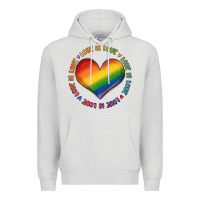 Dove Grey love is love Premium Hoodie - MaliasSmallBusiness