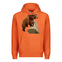 Carrot California Grizzly Bear Premium Hoodie - RanaPortraitStore