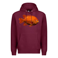 Burgundy California Garibaldi Fish Premium Hoodie - RanaPortraitStore