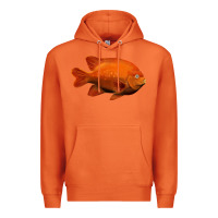 Carrot California Garibaldi Fish Premium Hoodie - RanaPortraitStore