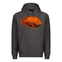 Smoke California Garibaldi Fish Premium Hoodie - RanaPortraitStore