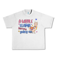 Lunar Rock a whole llama learning going on Urban Heavy Tee - MaliasSmallBusiness