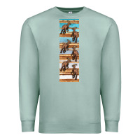 Seafoam dinosaur parasaurolophus pen wrap Premium Sweatshirt - Artiststas