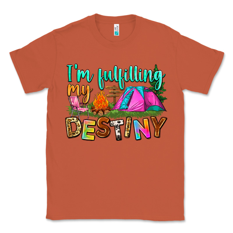 I'm Fulfilling My Destiny Classic Tee by Zillion Design Studio | Teevron
