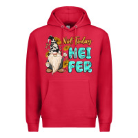 Cardinal not today heifer cow gnome Premium Hoodie - MaliasSmallBusiness