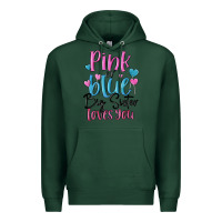 Sports Green pink or blue big sister loves you Premium Hoodie - MaliasSmallBusiness