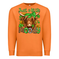 Carrot just a little moody st patricks day Premium Sweatshirt - Jasminsmagicworld